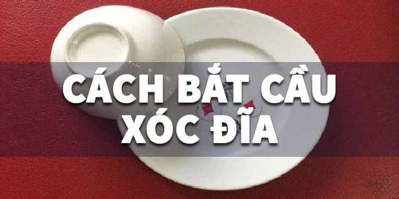 Cách Bắt Cầu Xóc Đĩa Hay Do Chuyên Gia 10 Năm Mách Nước